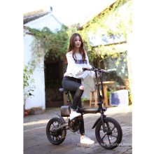 250W City E Bicycle New Fashion Foldable Electric Bike with Lithium Battery 36v geared hub motor 16inch wheel